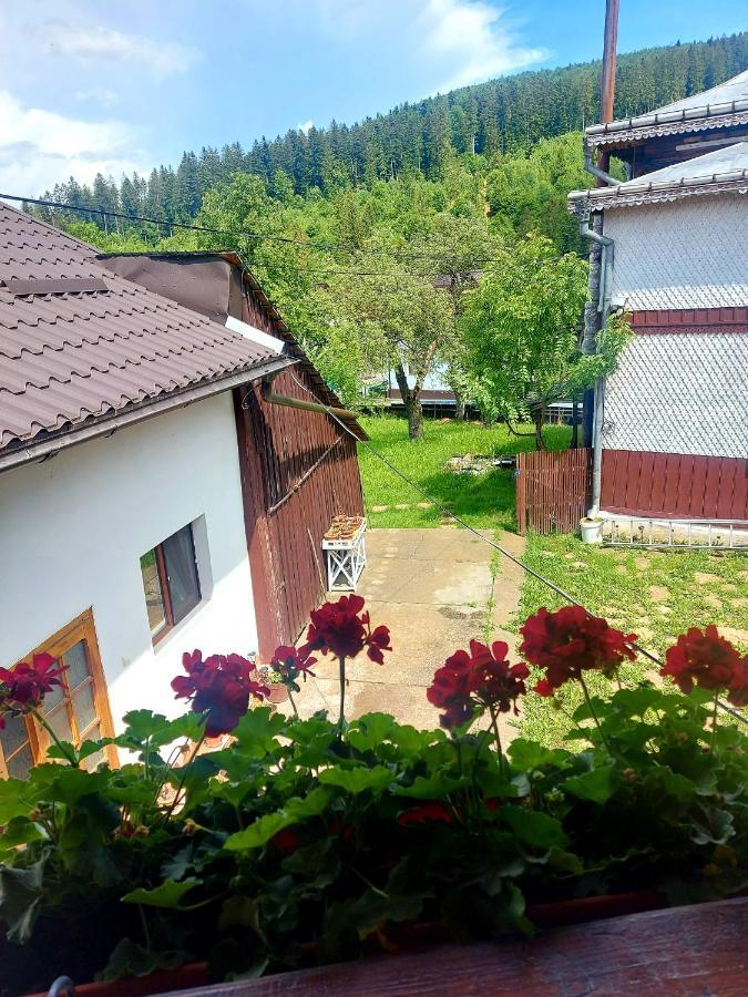 Pensiunea Boca Voroneț Exterior foto