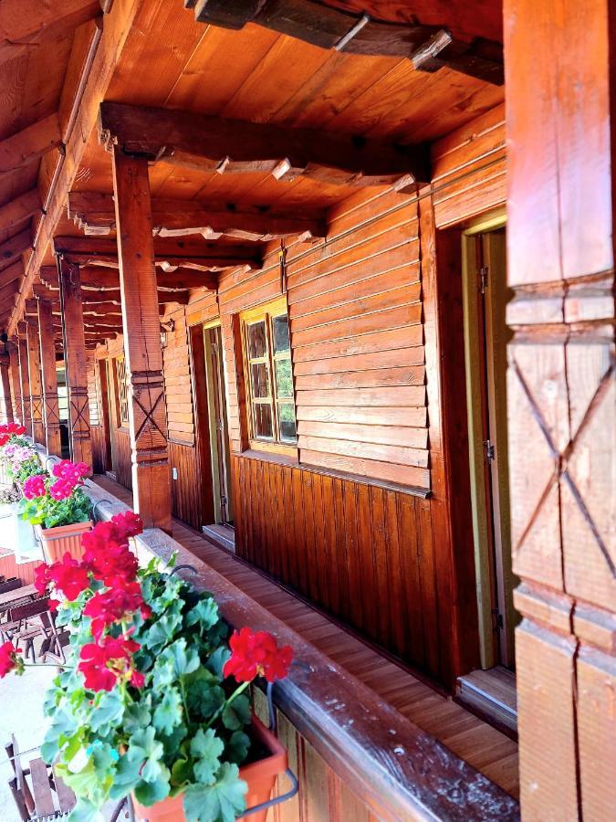 Pensiunea Boca Voroneț Exterior foto
