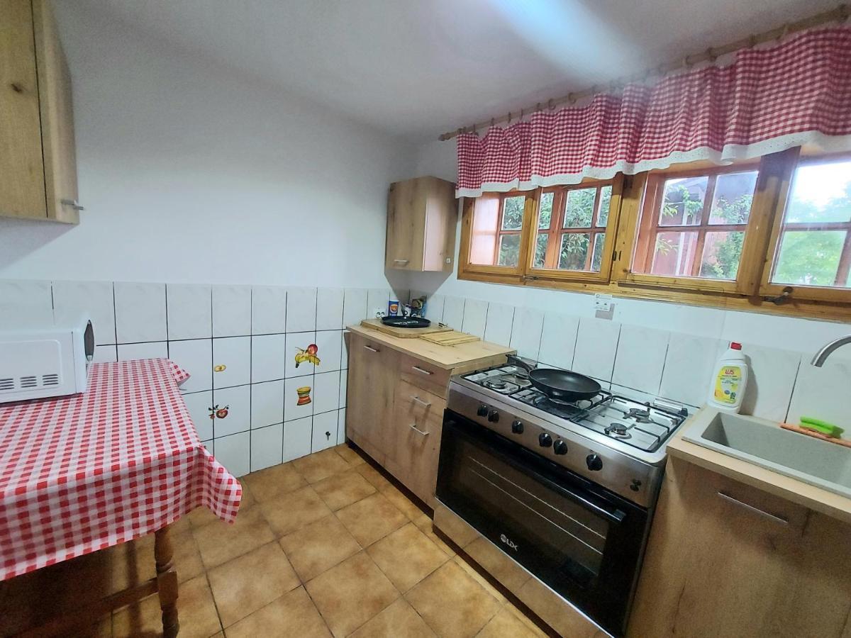 Pensiunea Boca Voroneț Exterior foto