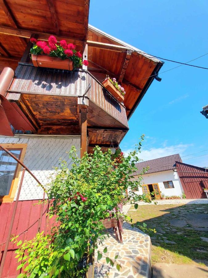 Pensiunea Boca Voroneț Exterior foto