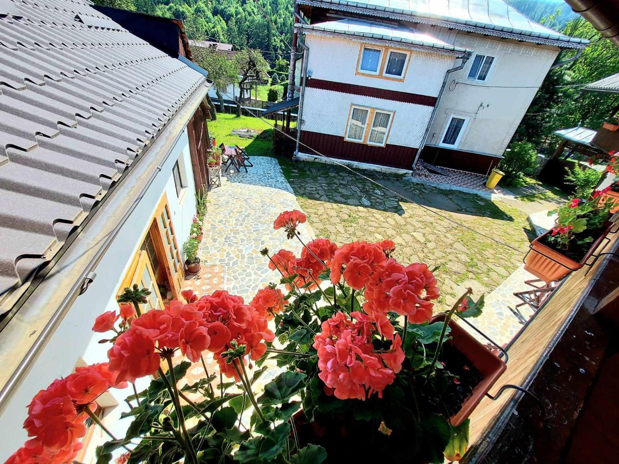 Pensiunea Boca Voroneț Exterior foto
